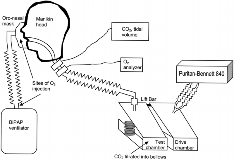 Bipap là gì? Thở bipap được tiến hành ra sao? 1