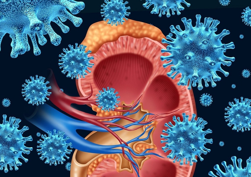 BK là gì? Dấu hiệu nhận biết và phương pháp điều trị cho người bệnh nhiễm BK 1