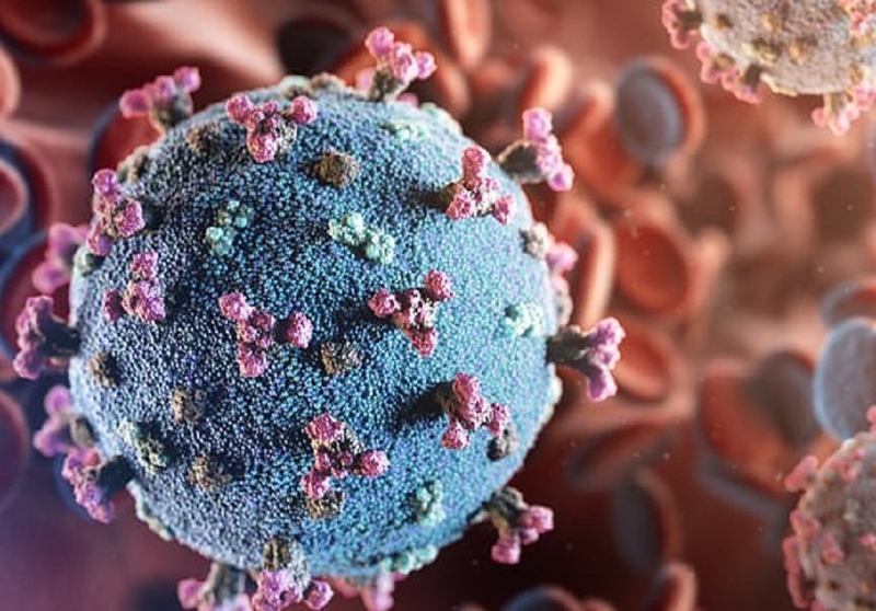 BK là gì? Dấu hiệu nhận biết và phương pháp điều trị cho người bệnh nhiễm BK 2