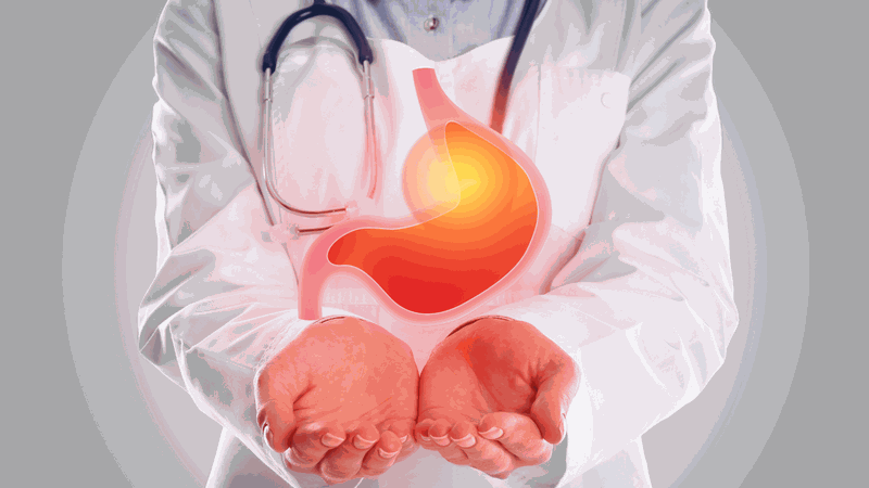 bồ câu hầm thuốc bắc món ăn dinh dưỡng bồi bổ cơ thể 3