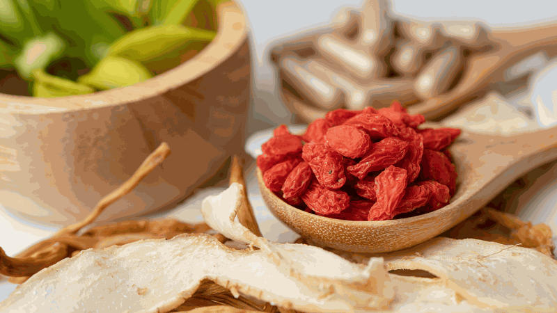 bồ câu hầm thuốc bắc món ăn dinh dưỡng bồi bổ cơ thể 4