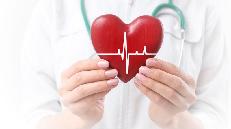 Bơ đậu phộng chứa chất béo tốt cho sức khỏe tim mạch