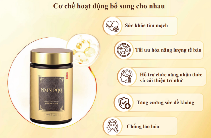 Bộ đôi “hiệu ứng hiệp đồng” NMN và PQQ giúp duy trì tuổi xuân 4