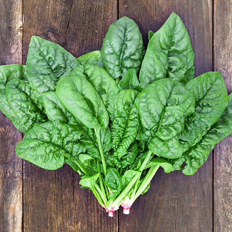 Cách bổ sung canxi cho bé sơ sinh qua sữa mẹ 2