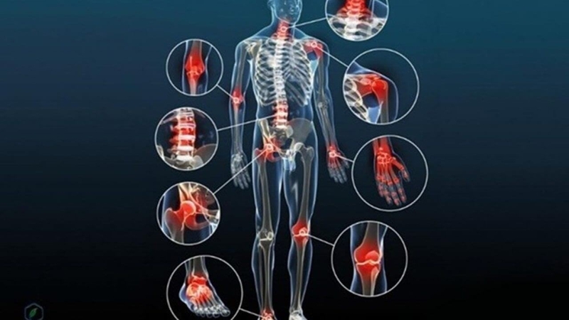 Bổ sung canxi tảo biển có tác dụng gì đối với cơ thể?