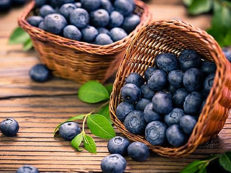 Chiết xuất việt quất giúp bảo vệ và tăng độ đàn hồi của collagen