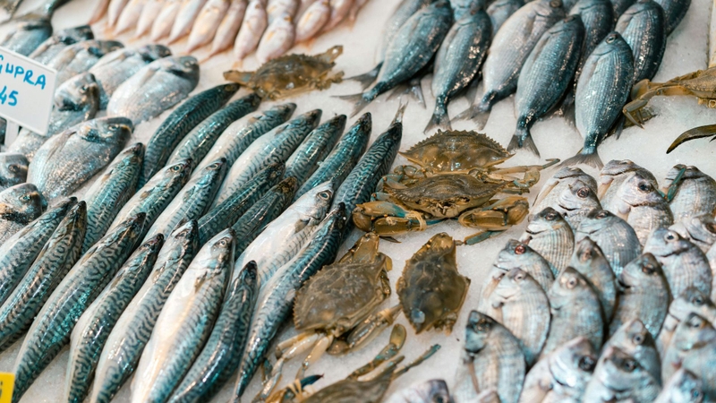 Nguồn omega-3 tốt nên ưu tiên từ cá béo như cá hồi, cá thu, cá mòi, cá trích...
