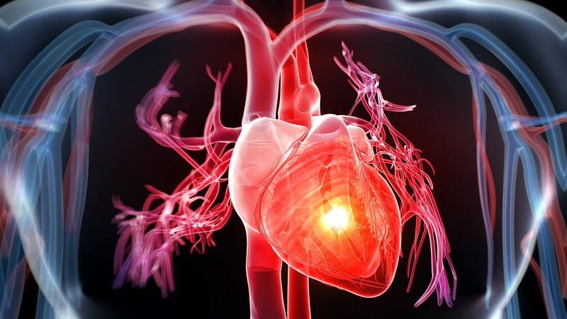 Bổ sung omega-3 đúng cách - “khắc tinh” của bệnh tim mạch