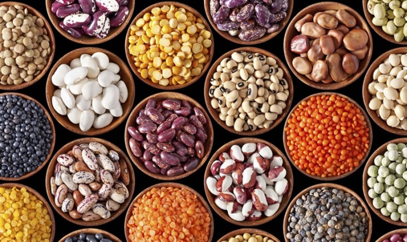 Thực phẩm thực vật giàu Axit Amin