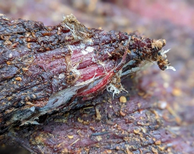 Bỏ túi 5 cách bảo quản thịt trâu gác bếp không bị mốc 3