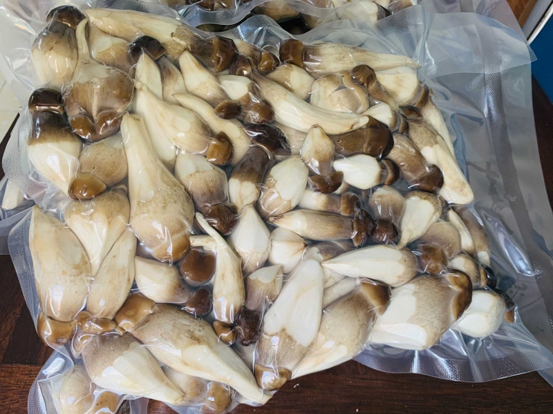 Bỏ túi cách bảo quản nấm mối tươi lâu mà không mất chất