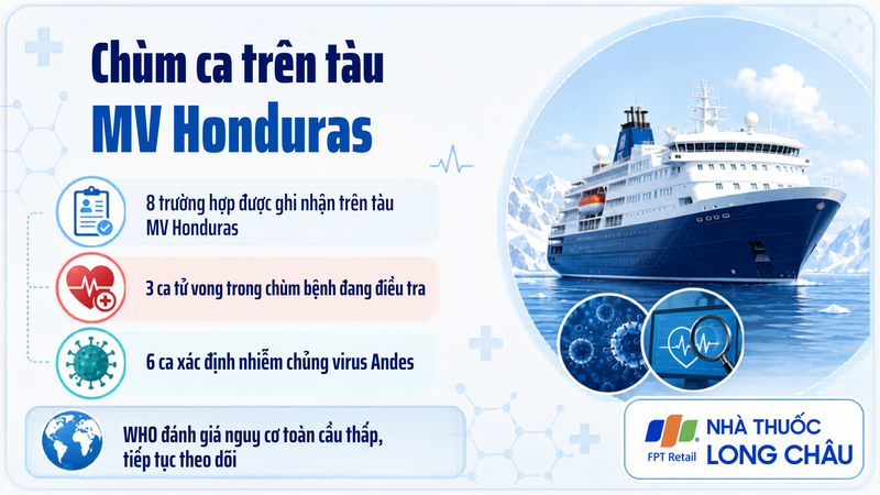 WHO ghi nhận 8 ca liên quan virus Hanta chủng Andes trên tàu MV Hondius