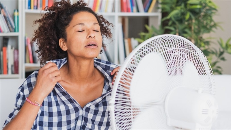 Nguyên nhân và cách đối phó với bốc hỏa khi mang thai 1