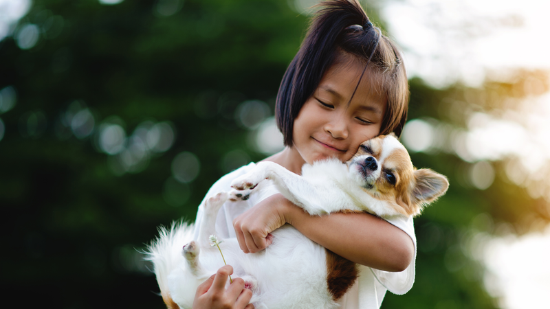 Không nên để trẻ bơi chung, ôm hoặc vuốt ve chó mèo một cách tự do