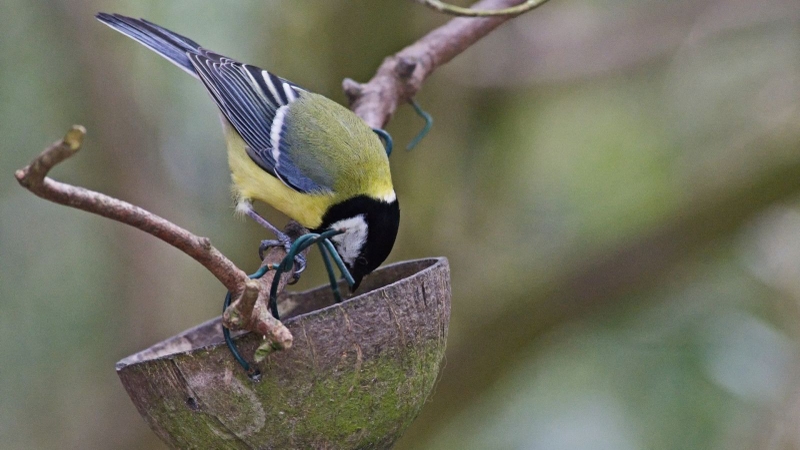 Bồi dưỡng thể chất để chiến thắng bệnh ung thư6