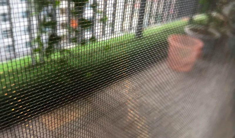 Bôi hồ nước khi bị kiến ba khoang đốt như thế nào? Các loại thuốc bôi trị kiến cắn 3