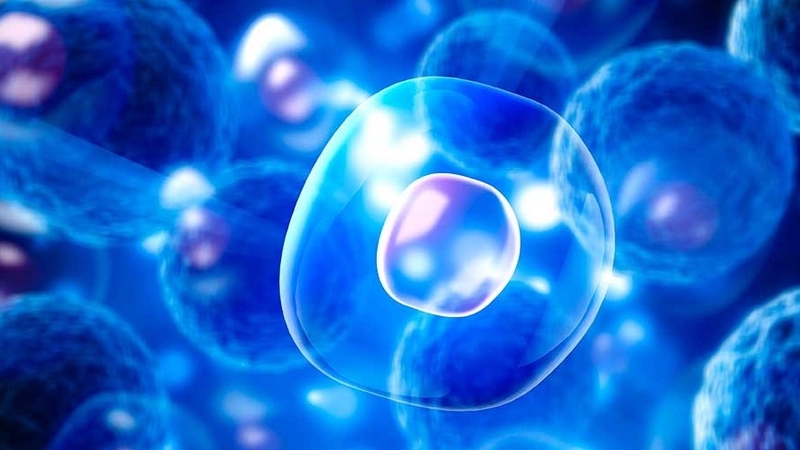 bôi tế bào gốc sau laser có tác dụng gì 1