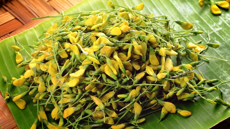 Nên ưu tiên chọn loại bông điên điển tươi ngon, không dập nát hoặc có mùi hôi lạ