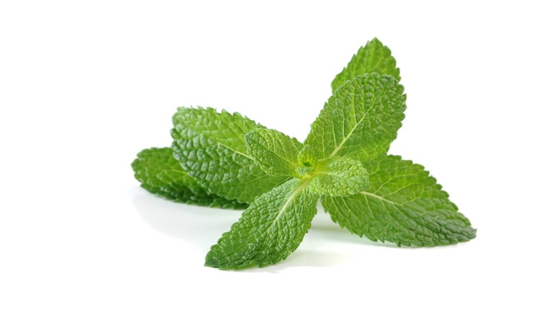 Bột bạc hà có tác dụng gì? Cần lưu ý gì khi sử dụng 1