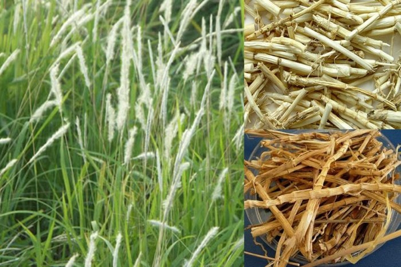 Bột Nước Mát Herba Cool Extra – Đẩy lùi rôm sảy, thanh lọc cơ thể, giảm mụn nhanh chóng 2