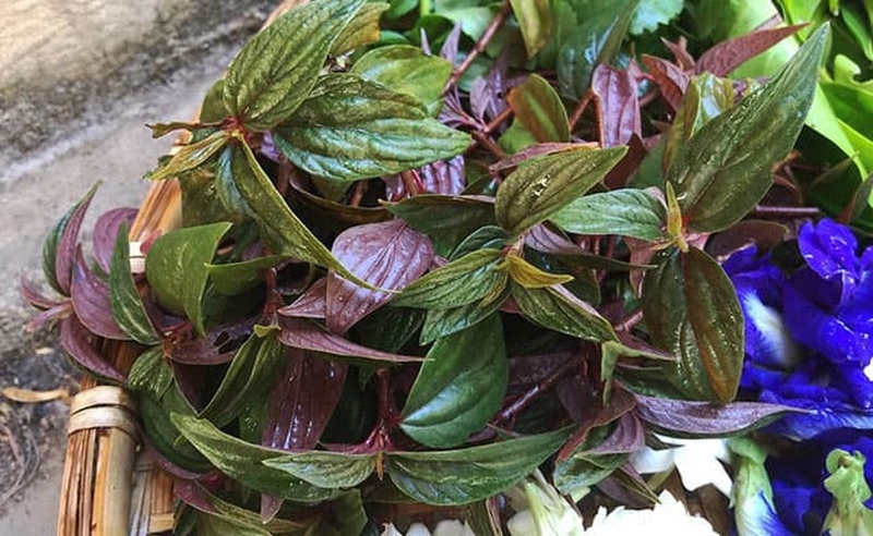 Bột Nước Mát Herba Cool Extra – Đẩy lùi rôm sảy, thanh lọc cơ thể, giảm mụn nhanh chóng 3