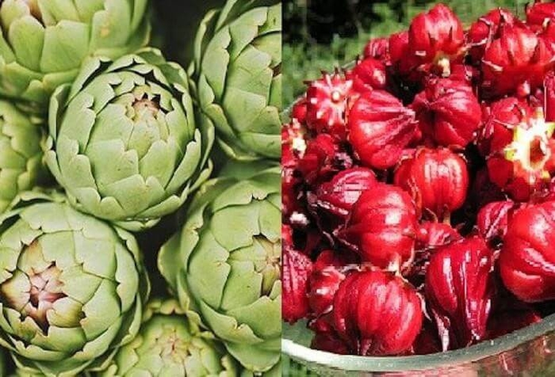 Bột Nước Mát Herba Cool Extra – Đẩy lùi rôm sảy, thanh lọc cơ thể, giảm mụn nhanh chóng 4