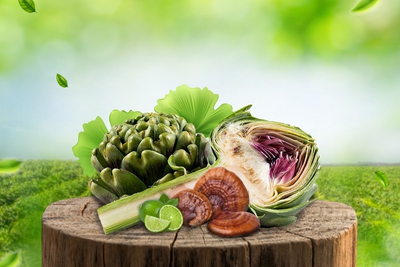 gồm atiso, rau má, dưa gang, linh chi đỏ 1