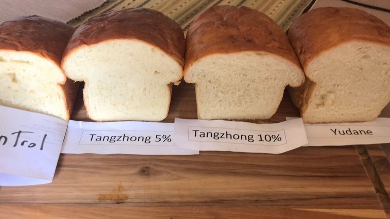 Bột Tangzhong là gì? Lợi ích sức khỏe của bột Tangzhong 3