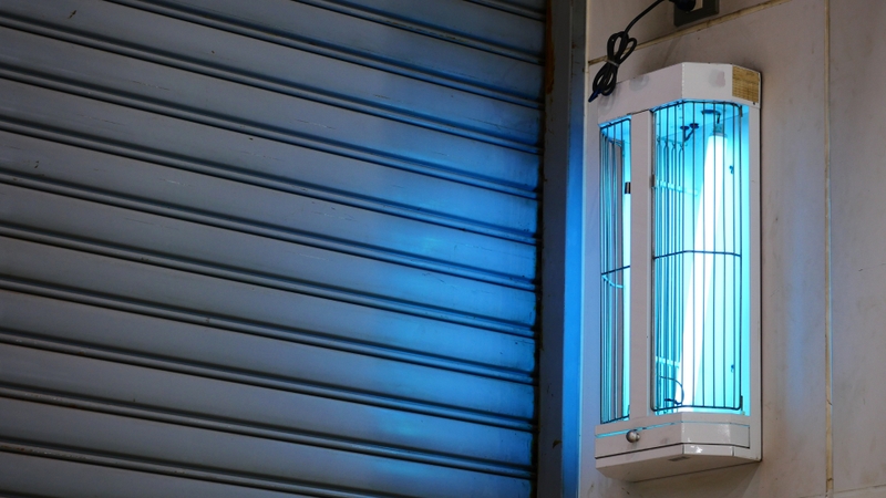 Nông sản sau thu hoạch có thể được chiếu xạ để diệt khuẩn, tiêu diệt côn trùng và kéo dài thời gian bảo quản