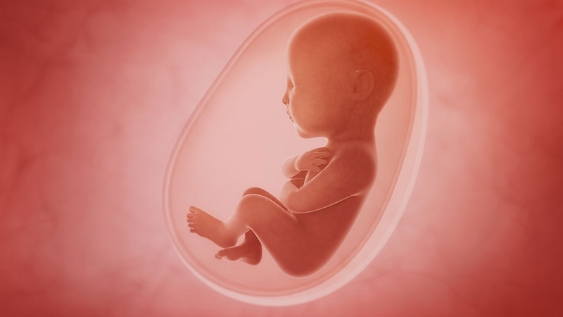 Bụng bầu 6 tháng: Những thay đổi quan trọng mẹ bầu cần biết 2