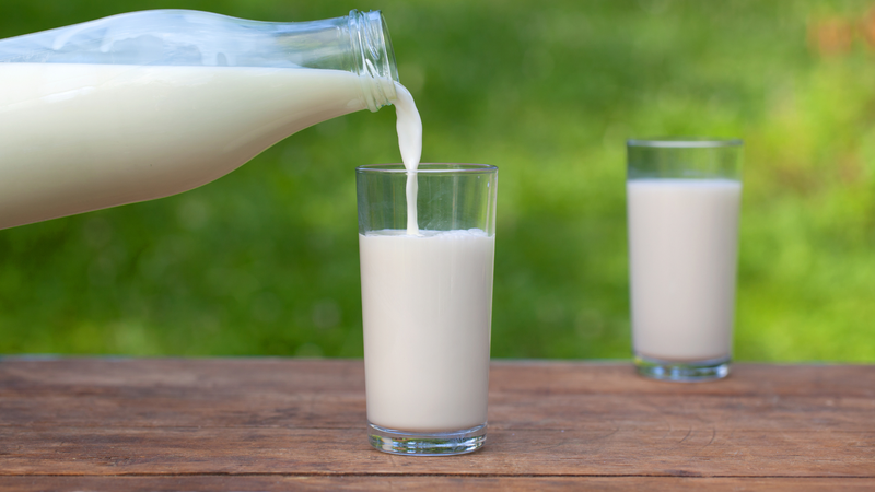 Sữa chứa lactose, có thể dễ làm đầy hơi và chướng bụng