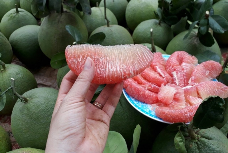 bưởi bao nhiêu calo 2