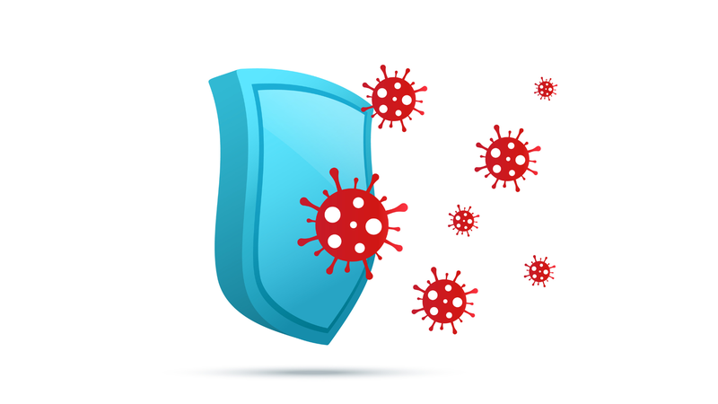 Bưởi bung - vị thuốc hỗ trợ sức khỏe phụ nữ sau sinh 4