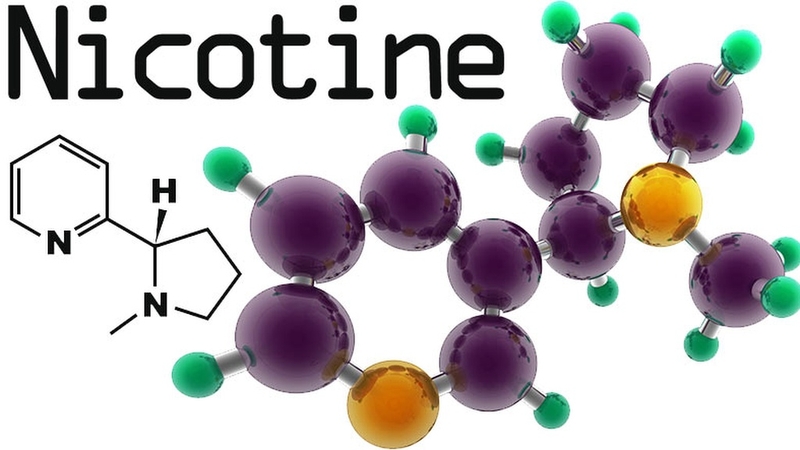 C10H14N2 là gì? Khám phá hợp chất Nicotine và ảnh hưởng đến sức khỏe 1