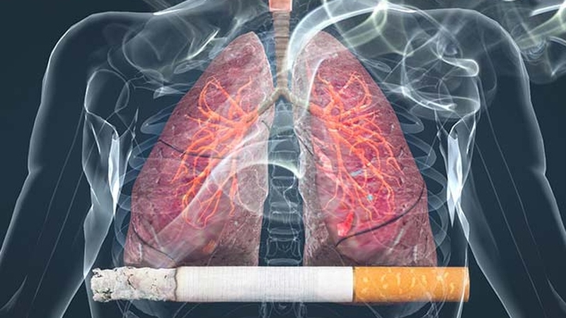 C10H14N2 là gì? Khám phá hợp chất Nicotine và ảnh hưởng đến sức khỏe 2