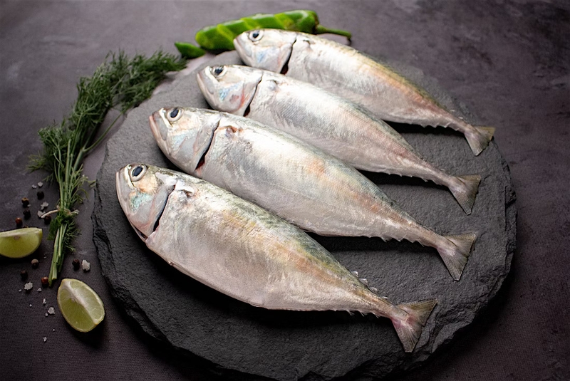 Cá bạc má: Giá trị dinh dưỡng và lợi ích sức khỏe 1