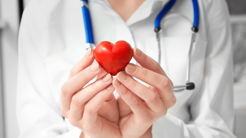 Cá bè có giá trị dinh dưỡng và lợi ích sức khỏe như thế nào? 3