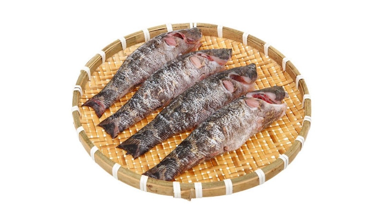 Nên ưu tiên dùng cá bống tượng tươi để có hàm lượng dưỡng chất cao nhất