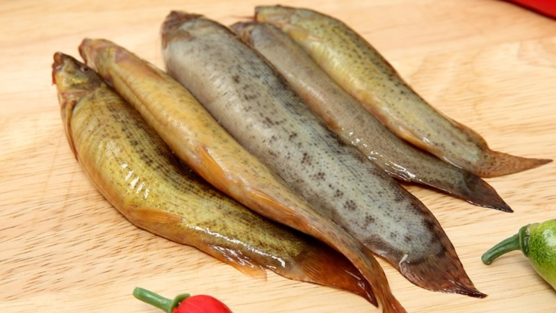 Giá trị dinh dưỡng tuyệt vời của cá chạch