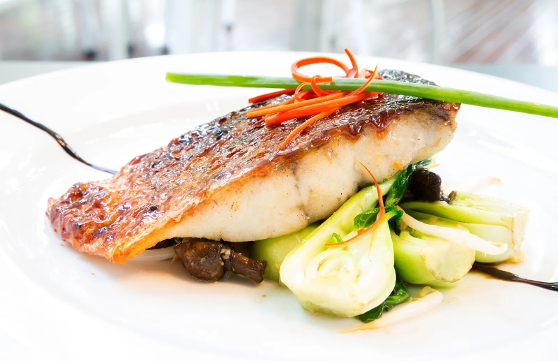 Cá chẽm: Khám phá lợi ích sức khỏe và những điều thú vị 3