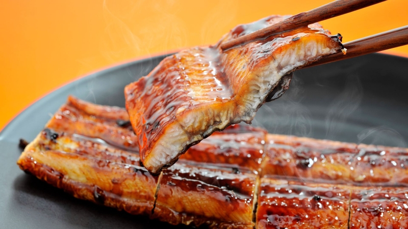 Cá chình là gì? Giá trị dinh dưỡng, lợi ích và lưu ý khi sử dụng 2