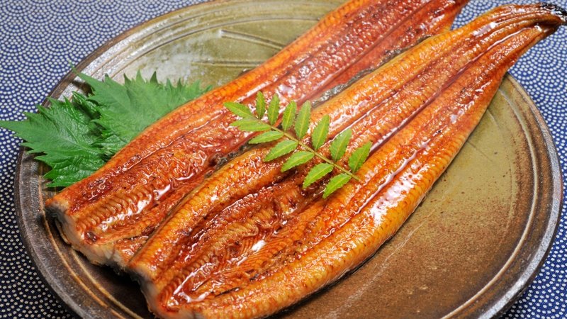 Cá chình là gì? Giá trị dinh dưỡng, lợi ích và lưu ý khi sử dụng 4