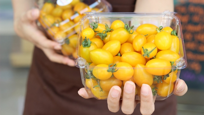 Cà chua bi vàng và những lợi ích tuyệt vời đối với sức khỏe 3