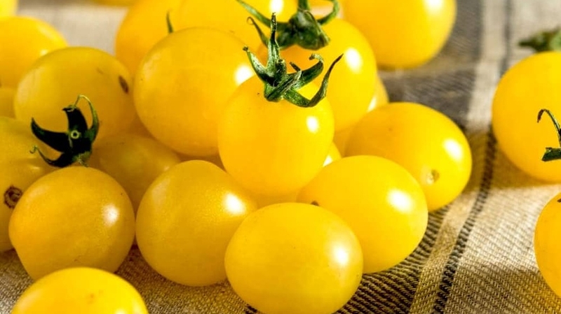 Cà chua bi vàng và những lợi ích tuyệt vời đối với sức khỏe 4