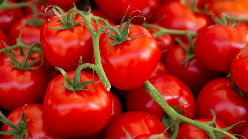 Cà chua có khả năng chống lão hóa thật không? Khám phá công dụng của cà chua 4
