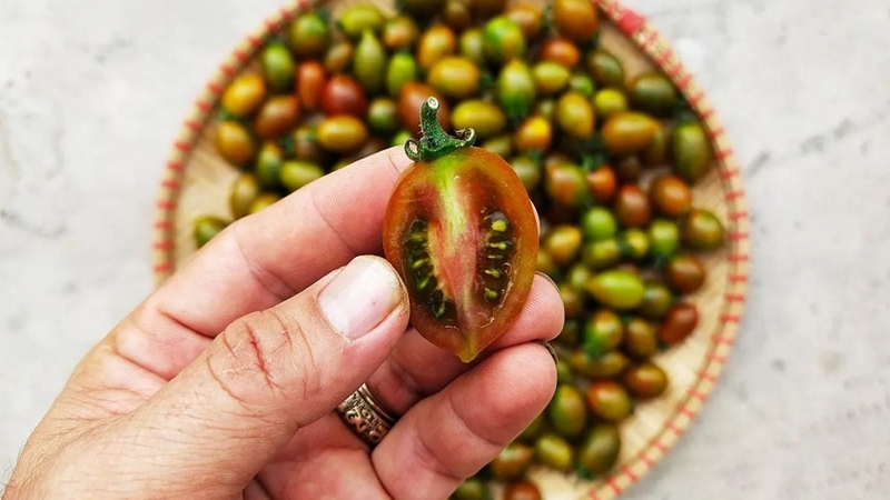 Cà chua socola có tốt không? Những lợi ích sức khỏe ít ai ngờ đến 4