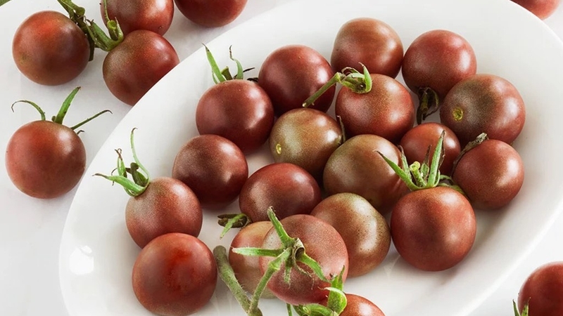 Cà chua socola có tốt không? Những lợi ích sức khỏe ít ai ngờ đến 3