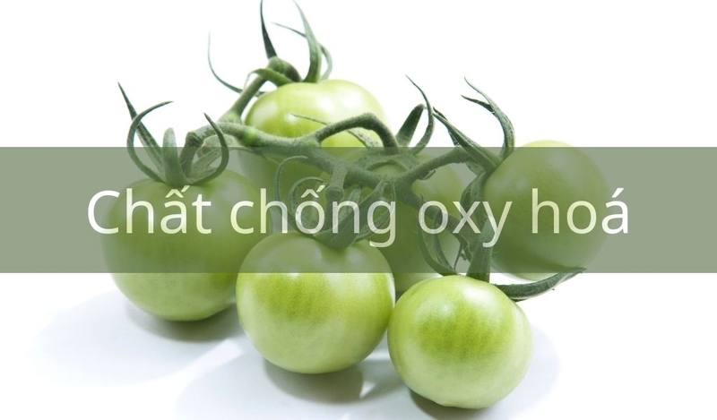 Cà chua xanh chữa viêm da cơ địa có hiệu quả không? 1