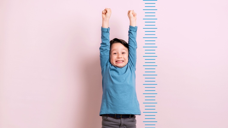 Cá cờ biển: Những điều cần biết về loại cá bổ dưỡng này 3