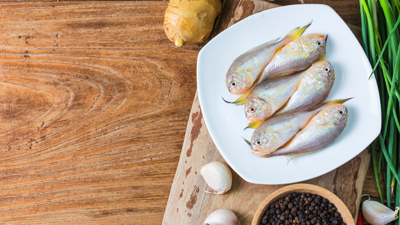 Cá đù là một trong những loài cá biển giàu dưỡng chất,